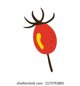 Rosehip. Vector illustration with doodles on the theme of cozy autumn.A cute element for greeting cards, posters, stickers and seasonal design. Isolated on a white background.