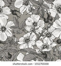 Rosehip. Vector images of prickly plants. Flower with needles. Hand-drawn illustration.
Seamless pattern.