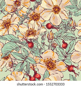 Rosehip. Vector images of prickly plants. Flower with needles. Hand-drawn illustration.
Seamless pattern.