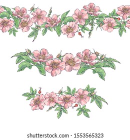 Rosehip. Vector images of prickly plants. Flower with needles. Hand-drawn illustration.Horizontal seamless pattern. Elements of horizontal print. Strip of flowers.