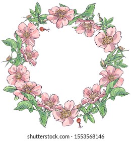 Rosehip. Vector images of prickly plants. Flower with needles. Hand-drawn illustration.Wreath. Circular print. a ring of flowers. A plant painted in a circle.