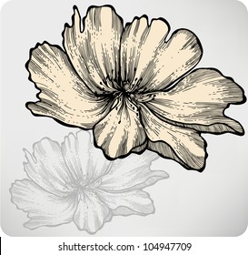 Rosehip. Wild Rose, hand-drawing. Vector illustration.