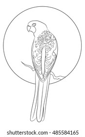 Rosella parrot logotype. vector illustration.