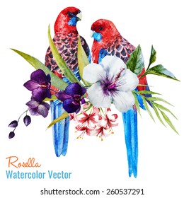 Rosella, watercolor, parrot, birds, flowers, tropical, exotic, hibiscus, 