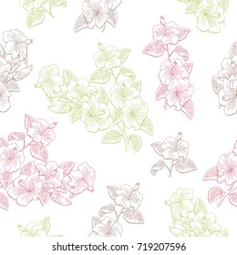 Roselle flower branch graphic color seamless pattern sketch illustration vector