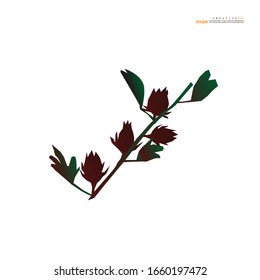 Roselle fruits icon on white background.