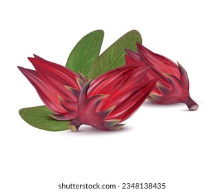 Roselle with green leaf isolated on white background. 3D realistic vector illustrations. Food concepts.