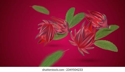 Roselle group flying on solid color background. Realistic vector in 3D illustrations. Food concepts.