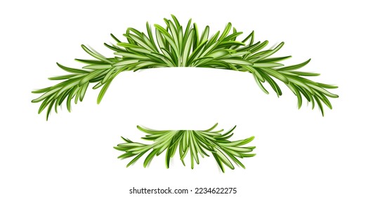 Rosemary banner, frame with green leaves, elegant border of fresh garden plant isolated on white background. Design element for invitation or restaurant menu decor, Realistic 3d vector set