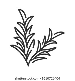 Rosemary branch black line icon. Herbs and spices. Cooking ingredient. Pictogram for web page.