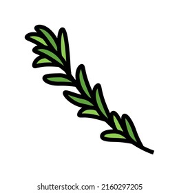 rosemary branch color icon vector. rosemary branch sign. isolated symbol illustration