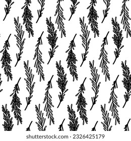 Rosemary branches seamless pattern. Abstract floral twigs with leaves, herb and spice doodle print. Vector illustration isolated on white background