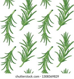 Rosemary branches seamless vector pattern background. Provence herbs. Green leaf leaves, twig, branch, herb stick. Isolated. Botanical. Floral. Herbal. Flower. Ingredient. Retro engraving ink drawing.