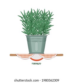 Rosemary. Condiments and herbs. Branches of green, fresh rosemary in a gray bucket on the kitchen shelf. There is a text. Design element. Vector illustration.