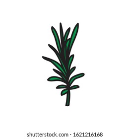 rosemary doodle icon, vector illustration