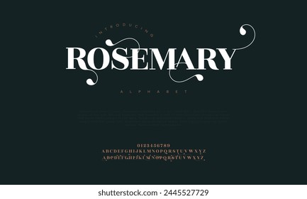 Rosemary elegant Font Uppercase Lowercase and Number. Classic Lettering Minimal Fashion Designs. Typography modern serif fonts regular decorative vintage concept. vector illustration