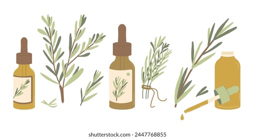 Rosemary essential oil set isolated on white background. Amber glass dropper bottles of oil with fresh herb branch green leaves. Vector simple hand drawn illustration.