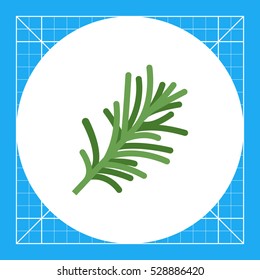 Rosemary flat icon