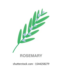 Rosemary flat icon on white transparent background. You can be used rosemary icon for several purposes.