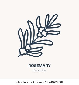 Rosemary flat line icon. Medicinal plant leaves vector illustration. Thin sign for herbal medicine, tree branch logo.
