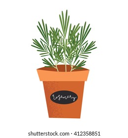 Rosemary fresh herbs and spices icon vector illustration in flat cartoon style. House Plant for design menus, recipes, packages