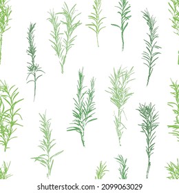 Rosemary grunge retro pattern. Rosemary herb abstract vintage background. Herbal plant. Gardening, culinary and aromatherapy.