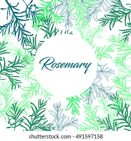 Rosemary hand draw doodling illustration