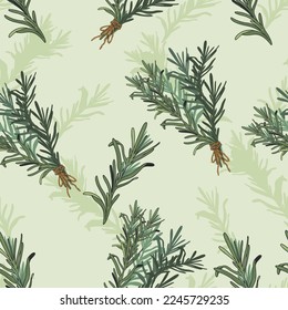 Ilustración vectorial de patrón transparente dibujada a mano. Especias y hierbas aromáticas. Diseño de patrones decorativos sin fisuras.