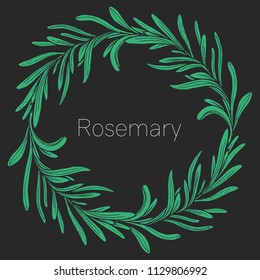 Rosemary hand drawn wreath sketch isolated on chalkboard. Vector illustration for label. Organic rosemary product flavor ingredient. Culinary spice herb for cooking, food, gardening design.