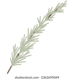 Rosemary Herb Branch. Hand drawing cute cozy illustration in kids style. Childish cartoon adorable cottagecore hand drawn element. Vector isolated on white