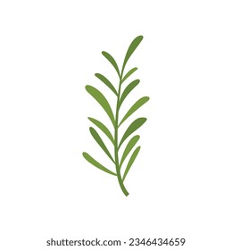 Rosemary herb icon flat vector. Green plant. Leaf branch isolated