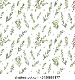 Rosemary herb seamless pattern. Rosemary plant green leaves repeat background. Botanic endless cover. Vector hand drawn flat illustration.