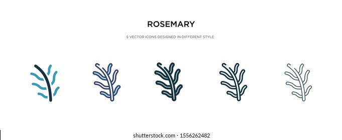 rosemary icon in different style vector illustration. two colored and black rosemary vector icons designed in filled, outline, line and stroke style can be used for web, mobile, ui