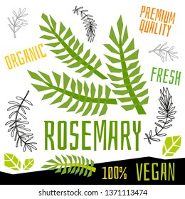 Rosemary icon label fresh organic vegetable, vegetables nuts herbs spice condiment color graphic design vegan food. Hand drawn vector illustrations.