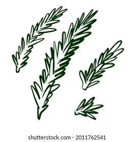 Rosemary icon logo set isolated on white background. Hand drawn illustration of rosemary