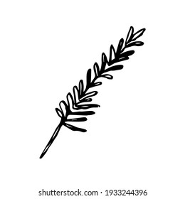 Rosemary icon on a white background. Vector illustration