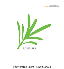 Rosemary icon on white background.vector illustration.eps10