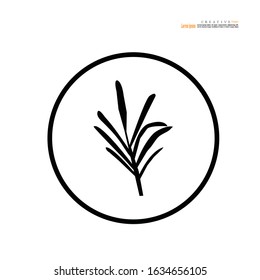 Rosemary icon on white background.vector illustration.eps10