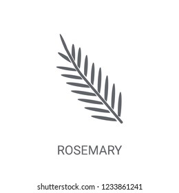 Rosemary icon. Trendy Rosemary logo concept on white background from Nature collection. Suitable for use on web apps, mobile apps and print media.