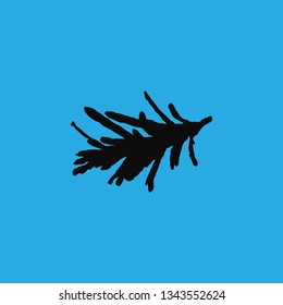 rosemary icon vector