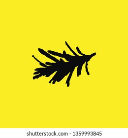 rosemary icon vector