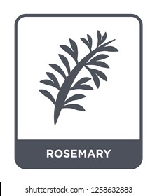 rosemary icon vector on white background, rosemary trendy filled icons from Nature collection, rosemary simple element illustration