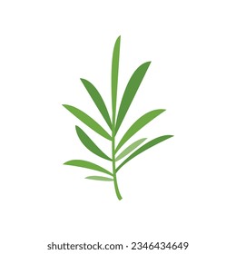 Rosemary leaf icon flat vector. Herb plant. Botanical flower isolated