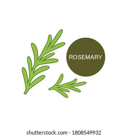 rosemary leaf vector logo illustration template