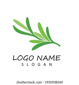 plantilla de ilustración del logotipo del vector de hoja de romero
