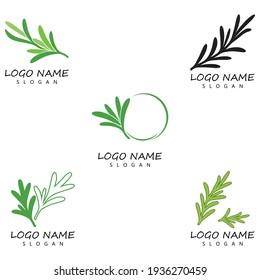 rosemary leaf vector logo illustration template