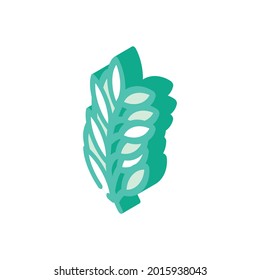 Das Rosmarin hinterlässt isometrische Icon Vektorgrafik. Rosmarin verlässt Schild. einzelne Symbolillustration