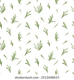 Rosemary leaves seamless pattern. Spice herb vector ornament. Hand drawn print for food, drink, flavour, aroma packaging, wrapping, apparel, beauty products. White background