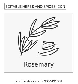 Rosemary line icon. Evergreen aromatic shrub for cooking to add flavor. Strong-smelling seasoning. Herbs and spices concept. Isolated vector illustration. Editable stroke