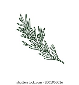 3,137 Rosemary outline Images, Stock Photos & Vectors | Shutterstock